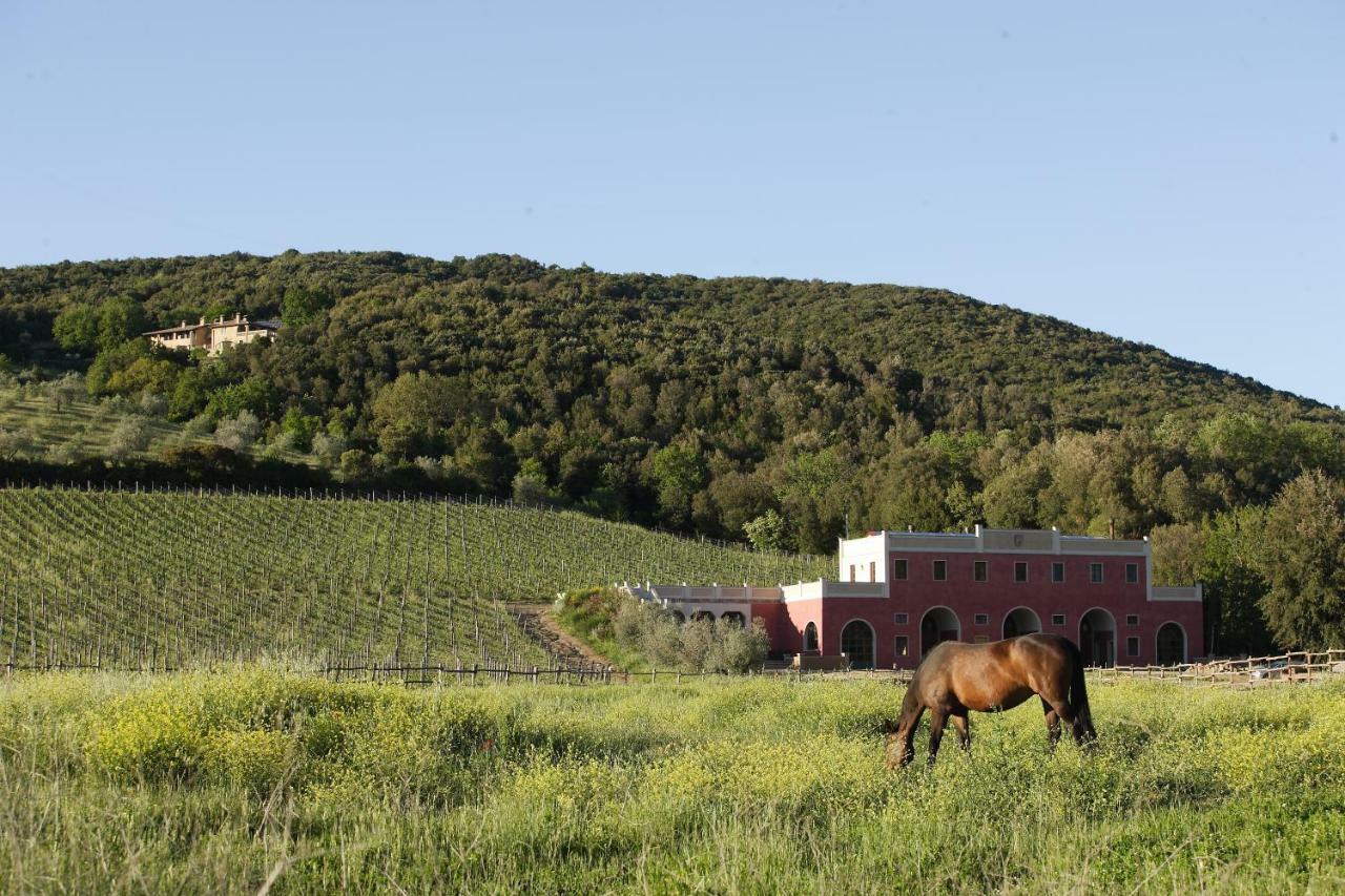 Tenuta Il Sassone - Wine&Food Massa Marittima Buitenkant foto